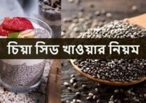 চিয়া সিড খাওয়ার নিয়ম: উপকারিতা, অপকারিতা সম্পূর্ণ গাইড