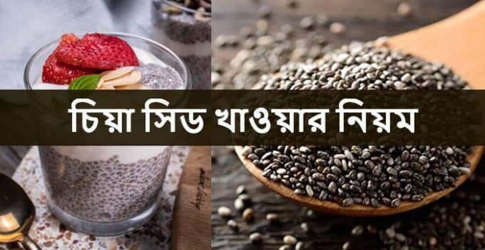 চিয়া সিড খাওয়ার নিয়ম: উপকারিতা, অপকারিতা সম্পূর্ণ গাইড